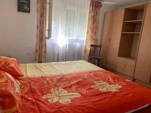 Cheerfull 2-bedroom with patio. Close to all ameneties. - Dobrodol