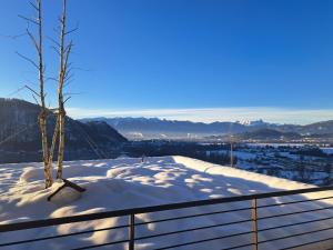 Apartment Augenweide