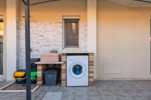 Ibiscus Rosa 1 img22