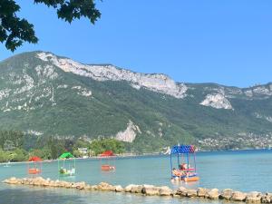 Appartements Petit cocon entre lac, golf et montagne, proche d'Annecy : photos des chambres