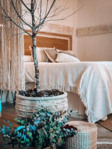 Suite con Burbuja