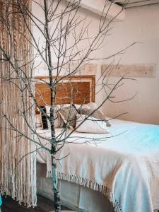 Suite con Burbuja - Viladellops