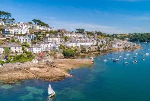 Oystercatcher - Lanteglos