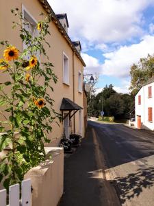 B&B / Chambres d'hotes Les Hirondelles B&B : Suite Standard