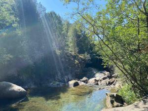Apartamento familiar en Benasque