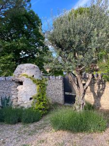 Maisons de vacances Mas Sylvie - Isle-sur-la-Sorgue : photos des chambres