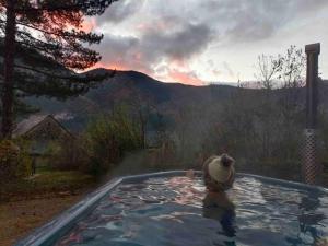 Maisons de vacances Gite Voute 3 etoiles de 2 a 4 pers au Manoir Du Charme dans les Gorges Du Tarn : photos des chambres