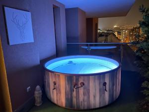 Downtown Penthouse Budapest