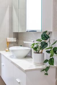 Kiki, 6 mins to Cairns and Airport, pet friendly