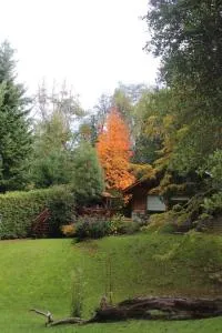 Casa en el bosque de Puerto Manzano - Villa Traful