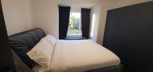 Contemporary Dublin Suite with hot tub