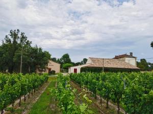 Maisons d'hotes Gite de Chateau Haut Meillac : photos des chambres