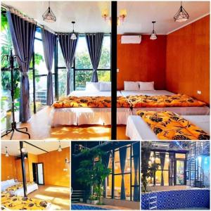 Daisy Homestay Tam Dao - Venuestay