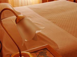 Standard Double Room room in Hotel du Lac Parc & Residence