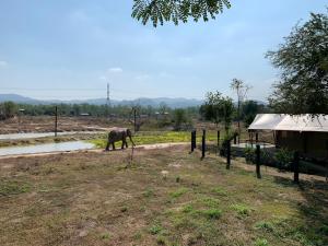 Elephant View Camp