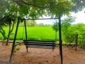 V Cabanas & Yala Safari Place - Walagampattuwa