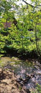Maison 2 chambres avec vue sur étang avec bain finlandais