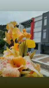 Refugio Flores de María - Sirata