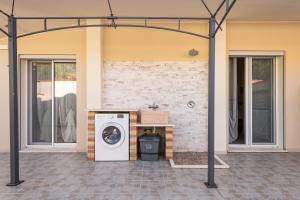 Ibiscus Rosa 2 img24