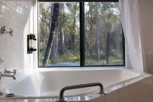 Island Brook Estate Vineyard and Chalets