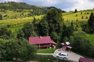 Котедж в Карпатах - 沃洛韦齐