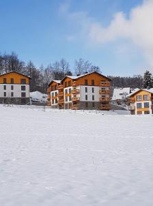 Apartament MODERN z ogrodem