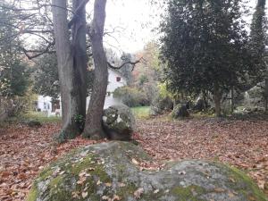 Maisons de vacances Gite La Rochetine : photos des chambres