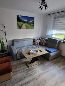 Apartament Leon - Szczawienko
