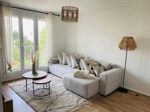 Appartements Superbe appartement a 10min du centre de Lyon : photos des chambres