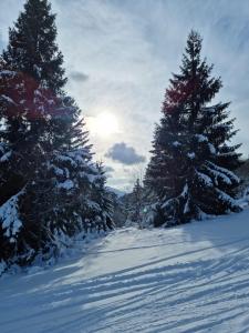 Maisons de vacances Les Randogodilleurs a 2kms des pistes et 350m du Theatre du Peuple ! : photos des chambres