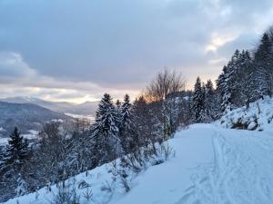 Maisons de vacances Les Randogodilleurs a 2kms des pistes et 350m du Theatre du Peuple ! : photos des chambres