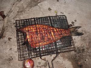 Honeybee Homestay by The Jungle Stay Groups