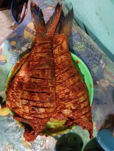 Honeybee Homestay by The Jungle Stay Groups