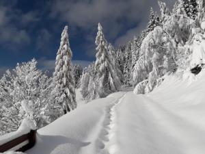 Ferienhaus Krametergut