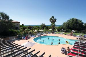 SOWELL Family Grau du Roi