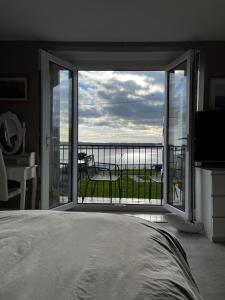 The View