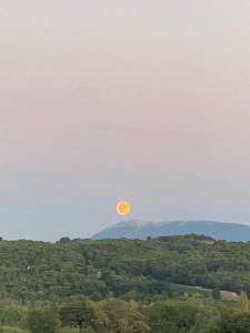 Sejours chez l'habitant Entre Ciel Et Nature : photos des chambres