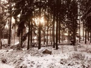 Ferienhaus in Broakulla mit Sauna
