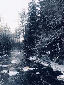 Ferienhaus in Broakulla mit Sauna