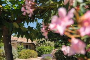 Hotels SOWELL Family Cap d’Agde : photos des chambres