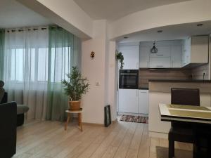 Apartament Elena
