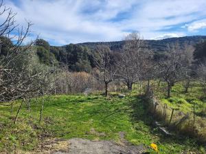 Maisons de vacances U caseddu : photos des chambres