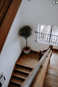 Château Côte de Nacre