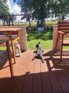 Domki nad morzem Jula