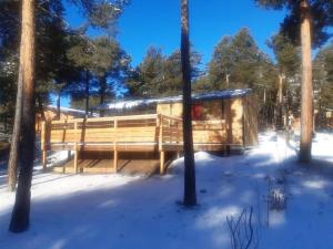 Bungalow de charme dans parc résidentiel piscine