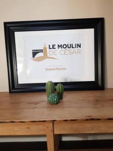 Hotels Le Moulin de Cesar : photos des chambres