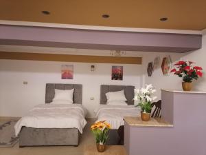 Cozy fully furnished studio