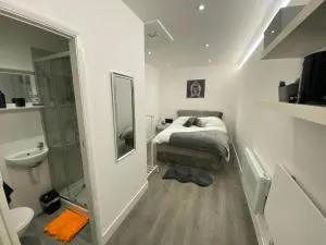 Beautiful 1-Bed Studio in Uxbridge London - 希灵登