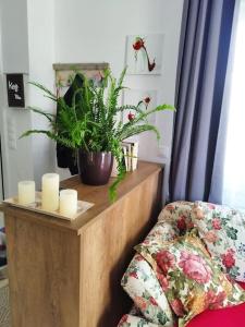 Renovated apartment with garden and parking space