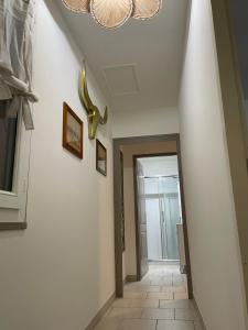 Appartements Le Faubourg des Trois Provinces, Zoo de Beauval : photos des chambres